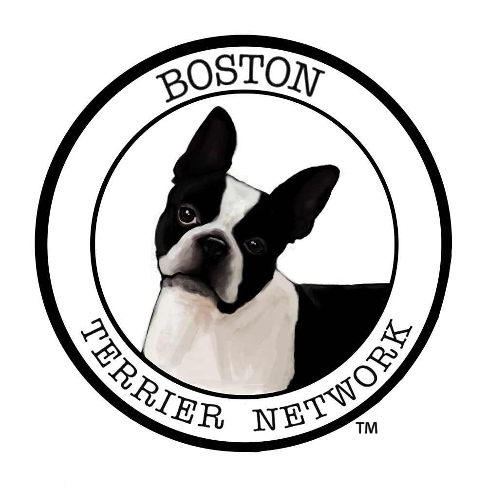 Boston Terrier Network