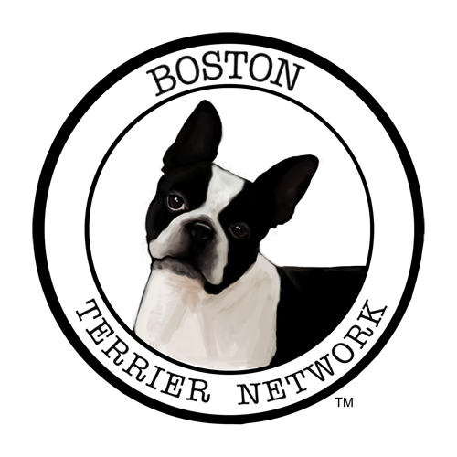 Boston Terrier Network